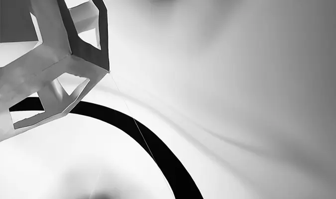 Shape + Form project