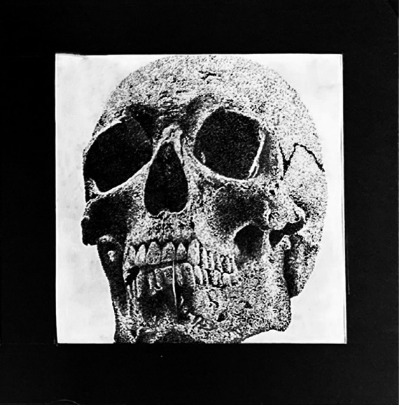 Texture - Tate Riney